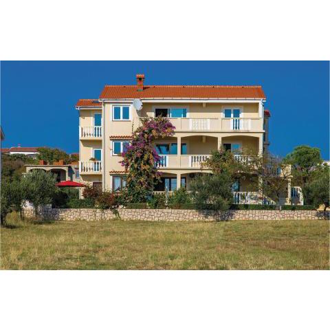 Beautiful apartment in Povljana with 1 Bedrooms and WiFi
