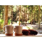 Całoroczny domek w lesie w wyjątkowym klimacie